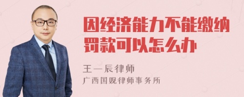 因经济能力不能缴纳罚款可以怎么办