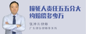 撞死人责任五五分大约赔偿多少万