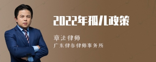 2022年孤儿政策