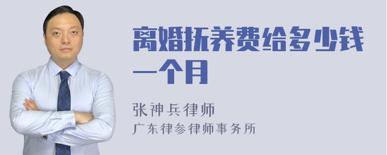 离婚抚养费给多少钱一个月