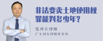 非法变卖土地使用权罪能判多少年?