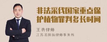 非法采伐国家重点保护植物罪判多长时间