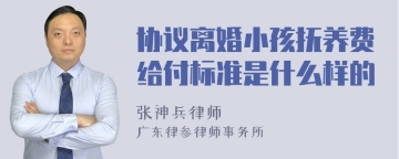 协议离婚小孩抚养费给付标准是什么样的