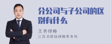 分公司与子公司的区别有什么