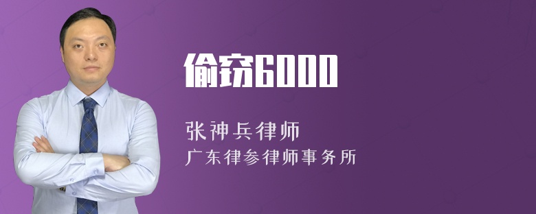 偷窃6000