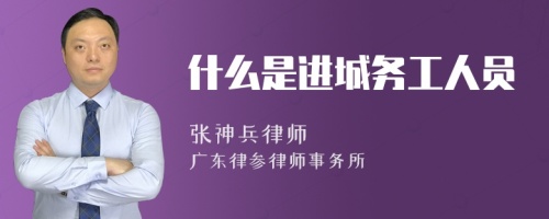 什么是进城务工人员