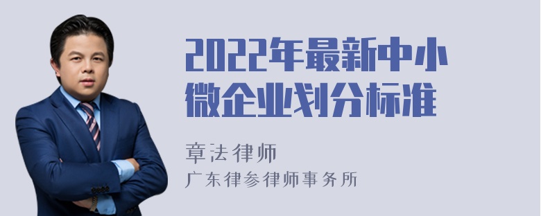 2022年最新中小微企业划分标准