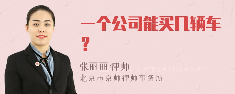 一个公司能买几辆车？