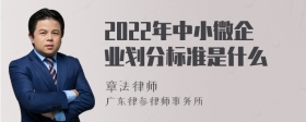 2022年中小微企业划分标准是什么