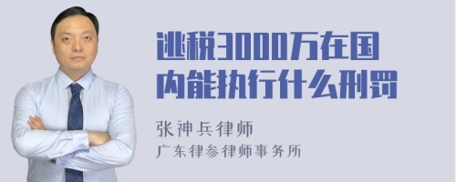 逃税3000万在国内能执行什么刑罚