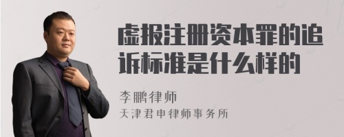 虚报注册资本罪的追诉标准是什么样的