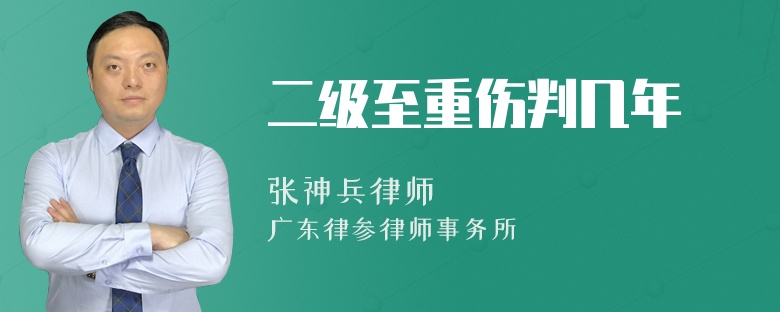 二级至重伤判几年