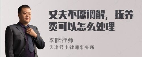 丈夫不愿调解，抚养费可以怎么处理