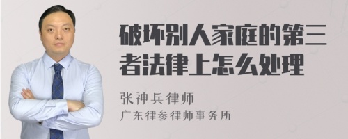 破坏别人家庭的第三者法律上怎么处理