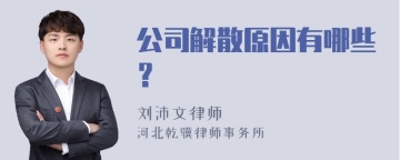 公司解散原因有哪些？