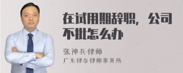 在试用期辞职，公司不批怎么办