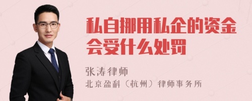 私自挪用私企的资金会受什么处罚