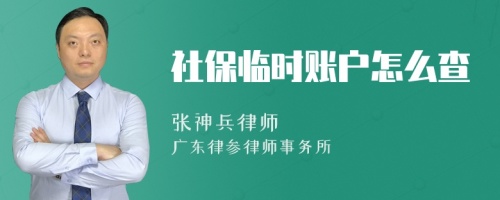 社保临时账户怎么查