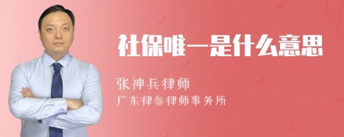 社保唯一是什么意思