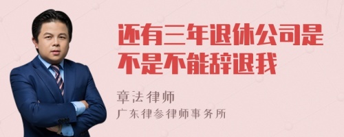 还有三年退休公司是不是不能辞退我