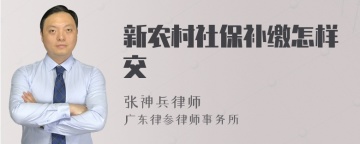 新农村社保补缴怎样交