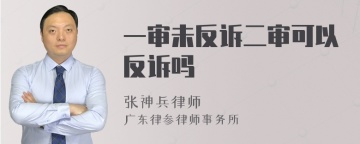 一审未反诉二审可以反诉吗