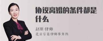 协议离婚的条件都是什么