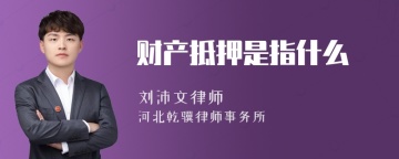 财产抵押是指什么