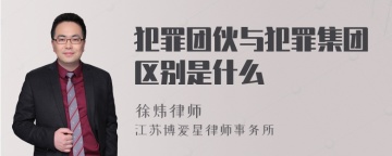 犯罪团伙与犯罪集团区别是什么