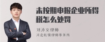 未按期申报企业所得税怎么处罚