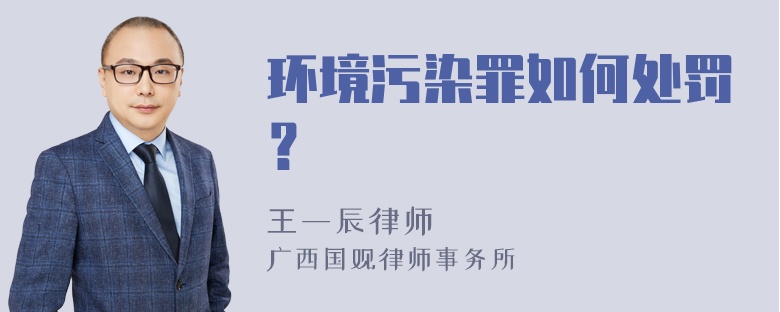 环境污染罪如何处罚？