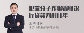 犯罪分子诈骗骗取银行贷款判刑几年