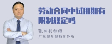 劳动合同中试用期有限制规定吗