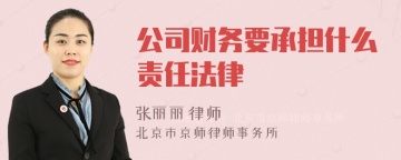 公司财务要承担什么责任法律