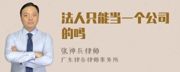 法人只能当一个公司的吗