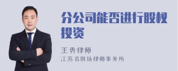 分公司能否进行股权投资