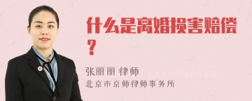 什么是离婚损害赔偿？