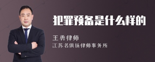 犯罪预备是什么样的