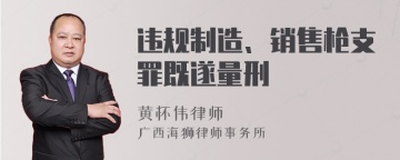 违规制造、销售枪支罪既遂量刑