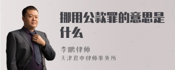 挪用公款罪的意思是什么