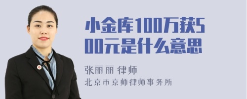 小金库100万获500元是什么意思