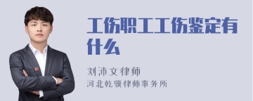 工伤职工工伤鉴定有什么