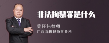 非法拘禁罪是什么