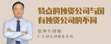 特点的独资公司与国有独资公司的不同