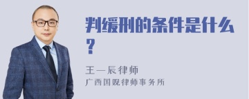 判缓刑的条件是什么？