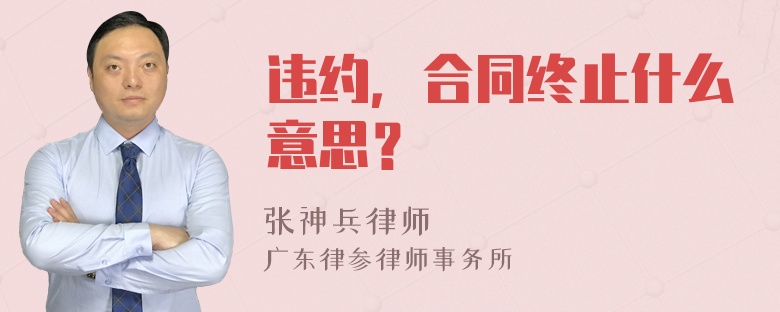 违约，合同终止什么意思？