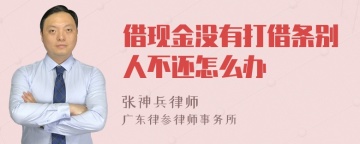 借现金没有打借条别人不还怎么办