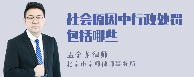 社会原因中行政处罚包括哪些