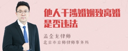 他人干涉婚姻致离婚是否违法