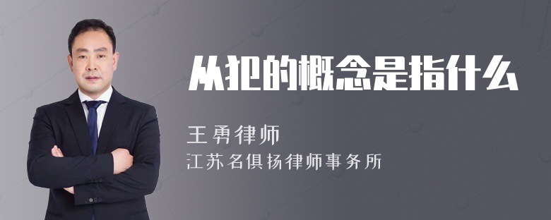 从犯的概念是指什么